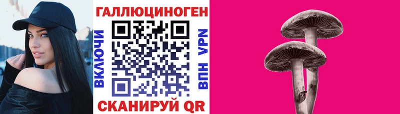 kraken как войти  Бердск  Псилоцибиновые грибы Psilocybe  купить  цена 