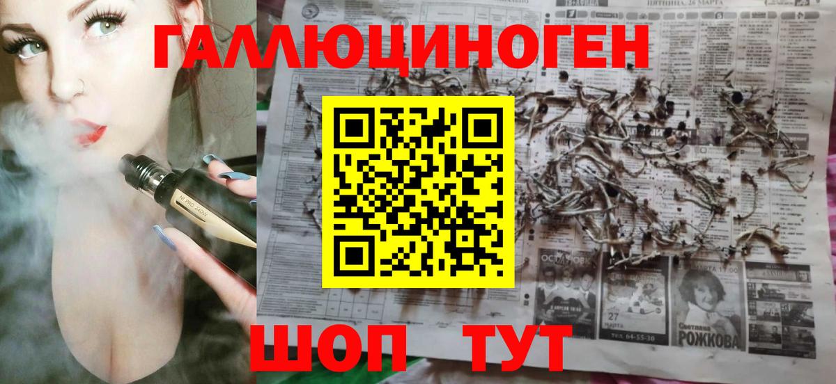 Псилоцибиновые грибы Psilocybe  Бердск 